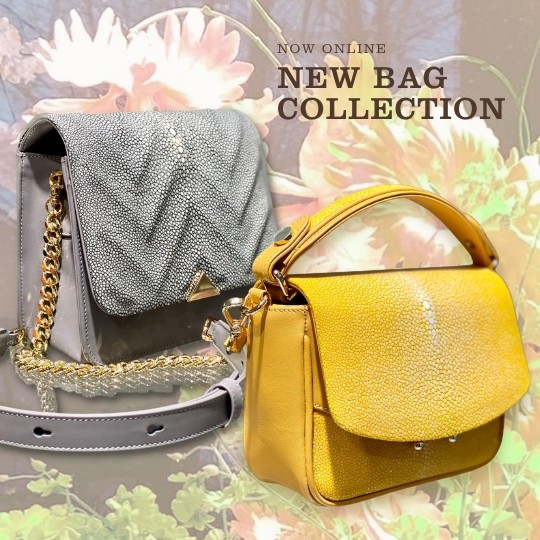 New Bag Collection